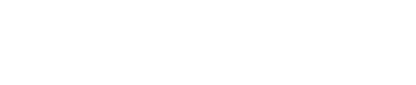 INVESTORE